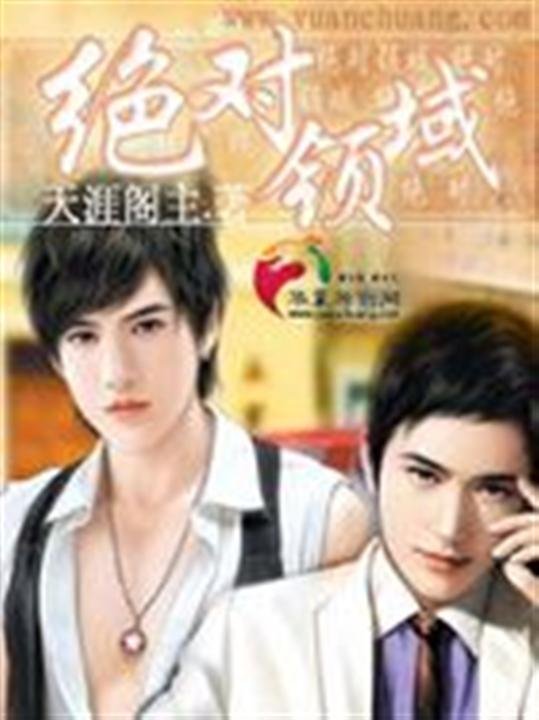 《绝对领域》.epub 作者：天涯阁主