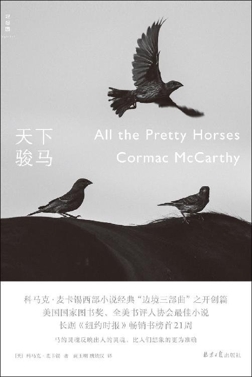 《天下骏马：边境三部曲第一部》 作者：[美]科马克·麦卡锡