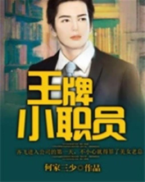 《王牌小职员》.epub 作者：何家三少