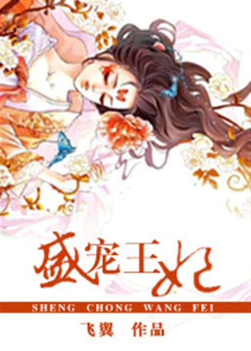 《盛宠王妃》.epub 作者：飞翼