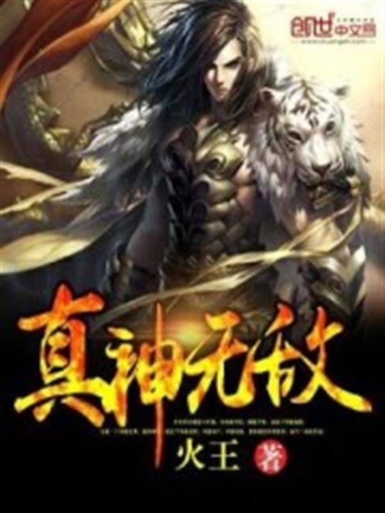 《真神无敌》.epub 作者：火王