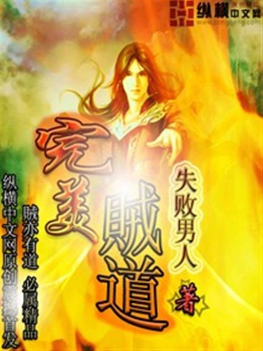 《完美贼道》.epub 作者：失败男人