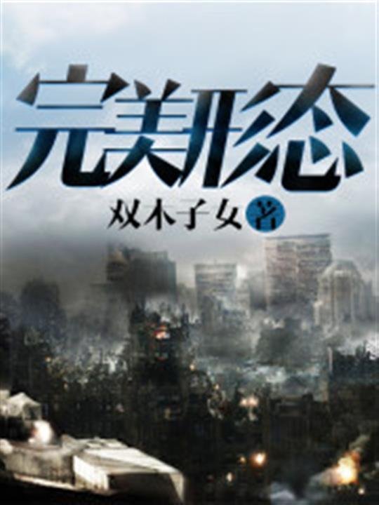 《完美形态》.epub 作者：双木子女