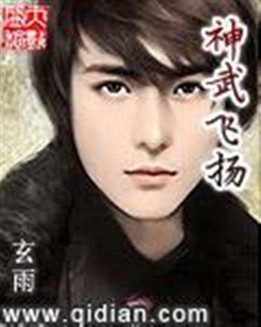 《神武飞扬》.epub 作者：玄雨