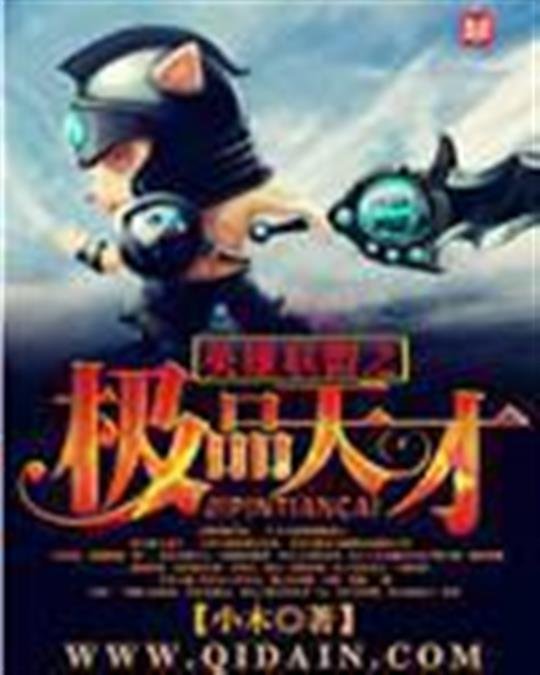 《英雄联盟之极品天才》.epub 作者：小木不是小暮