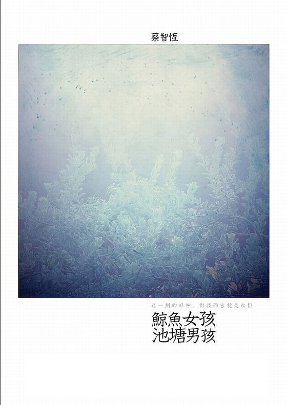 《鲸鱼女孩·池塘男孩》 作者：蔡智恒