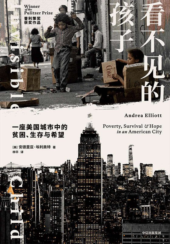 《看不见的孩子》 作者：安德莉亚·埃利奥特