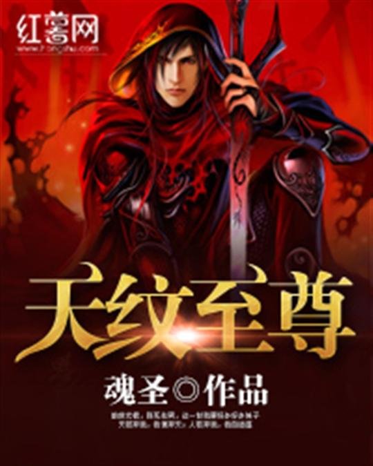 《天纹至尊》.epub 作者：魂圣