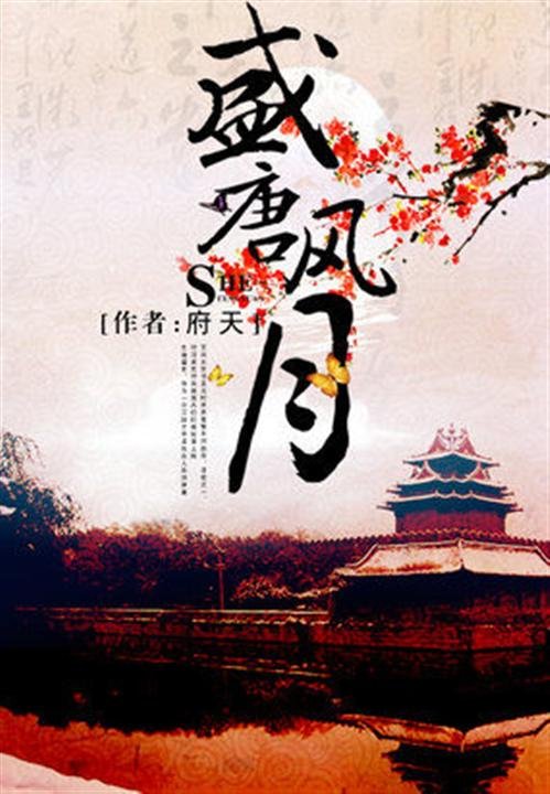 《盛唐风月》.epub 作者：府天