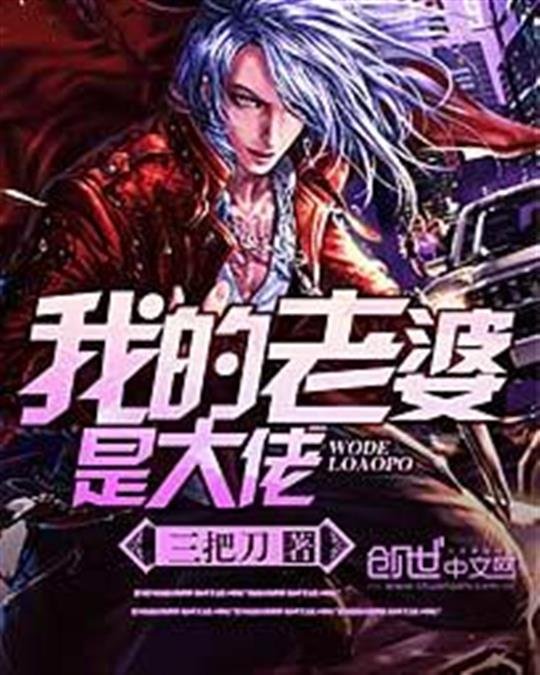 《我的老婆是大佬》.epub 作者：三把刀