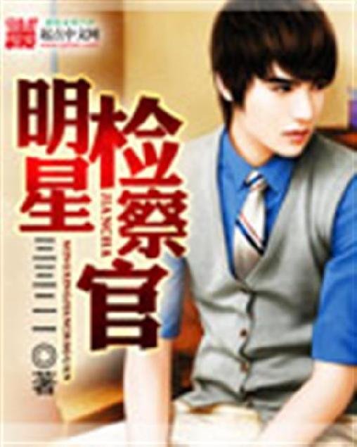 《明星检察官》.epub 作者：三三二一