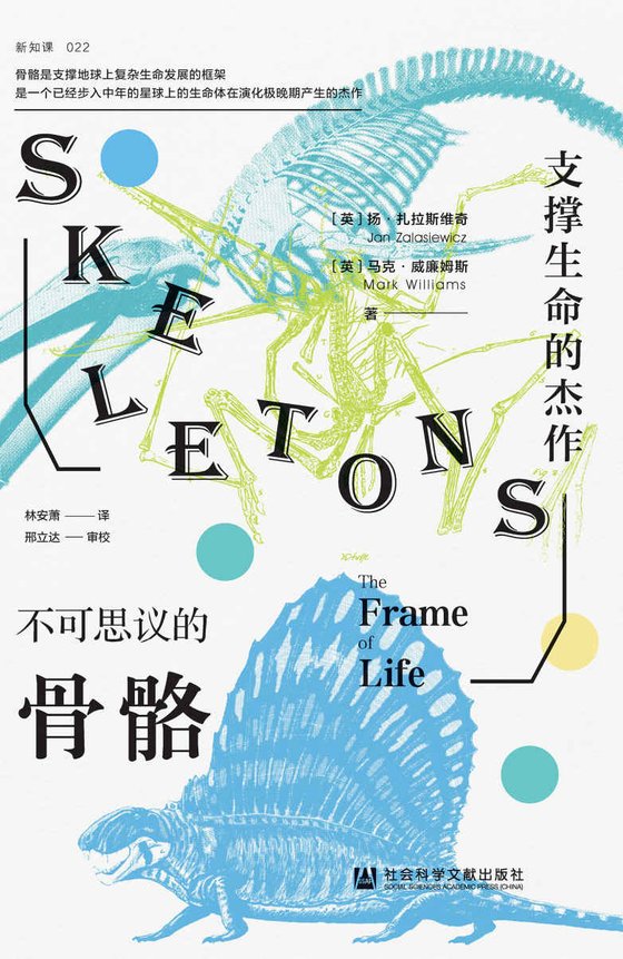 《不可思议的骨骼》