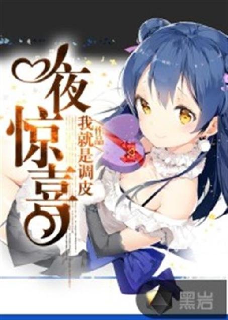 《一夜惊喜》.epub 作者：我就是调皮