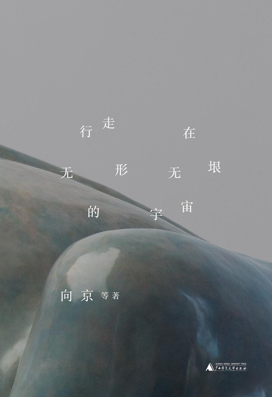 《行走在无形无垠的宇宙》 作者：向京