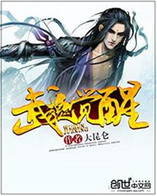 《武魂觉醒》.epub 作者：大昆仑