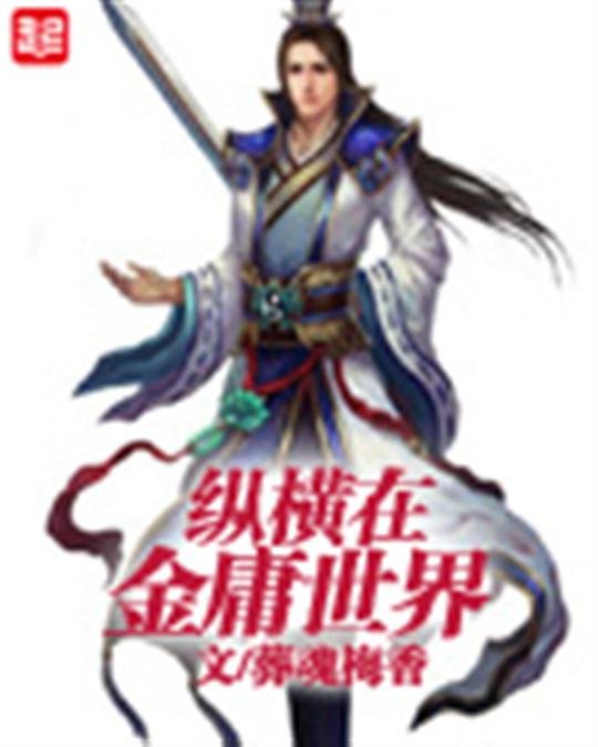 《纵横在金庸世界》.epub 作者：葬魂梅香