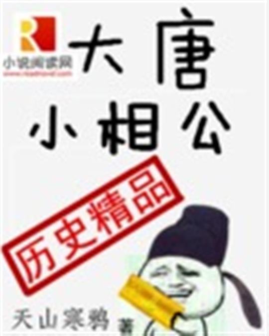 《大唐小相公》.epub 作者：天山寒鸦