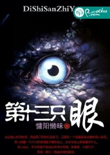 《第十三只眼》.epub 作者：慵阳懒昧
