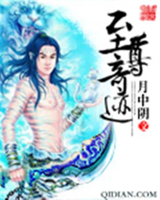 《至尊奇迹》.epub 作者：月中阴