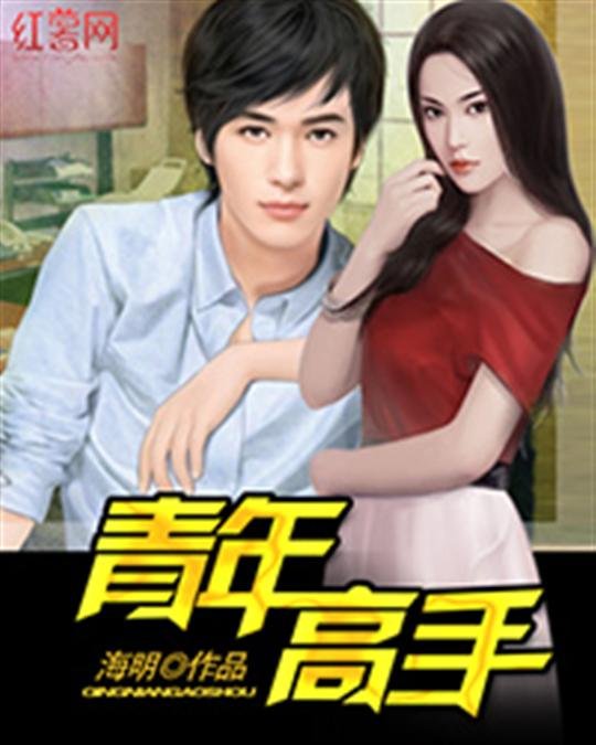 《青年高手》.epub 作者：海明