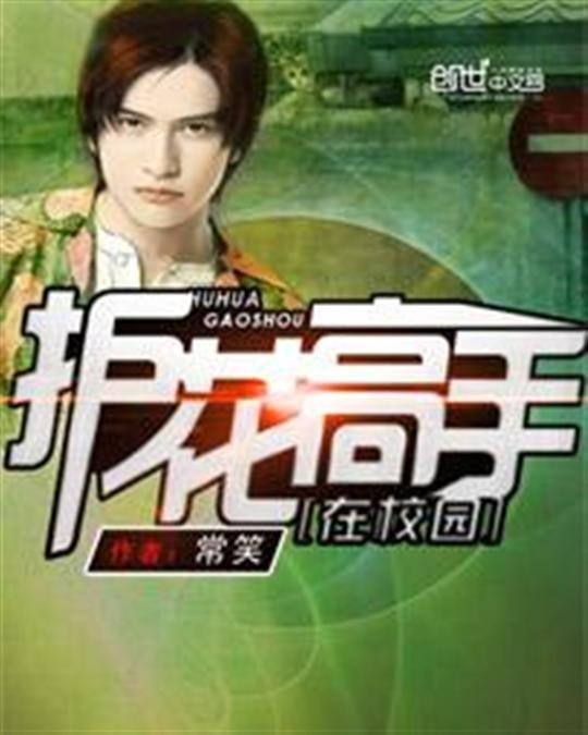 《护花高手在校园》.epub 作者：常笑