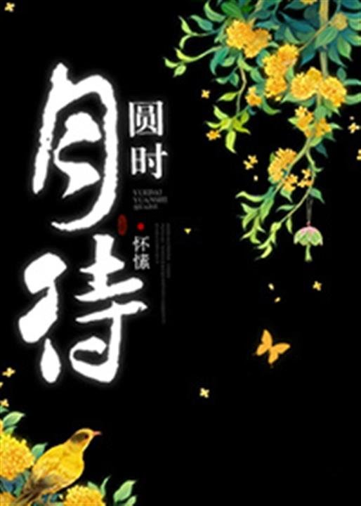 《月待圆时》.epub 作者：怀愫