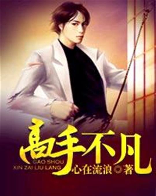 《高手不凡》.epub 作者：心在流浪