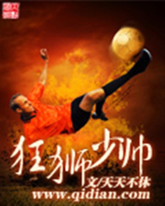 《狂狮少帅》.epub 作者：天天不休