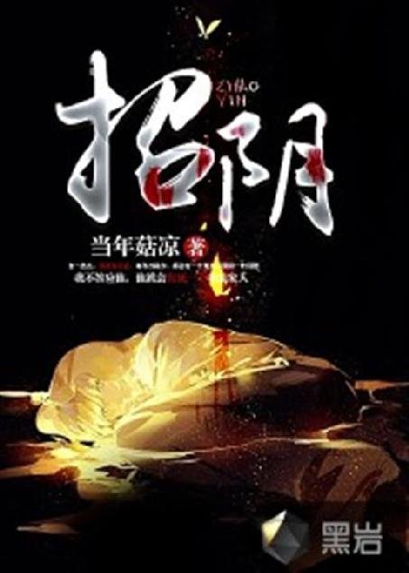 《招阴》.epub 作者：当年菇凉