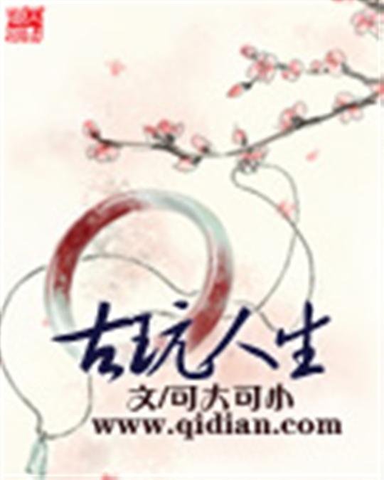 《古玩人生》.epub 作者：可大可小