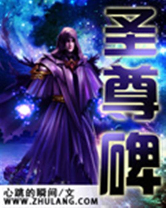 《圣尊碑》.epub 作者：心跳的瞬间
