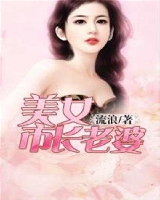 《美女市长老婆》.epub 作者:流浪