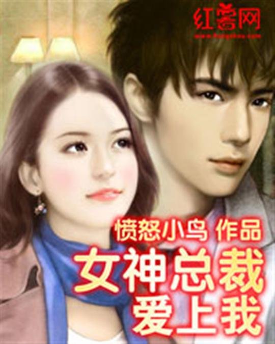 《女神总裁爱上我》.epub 作者：愤怒小鸟