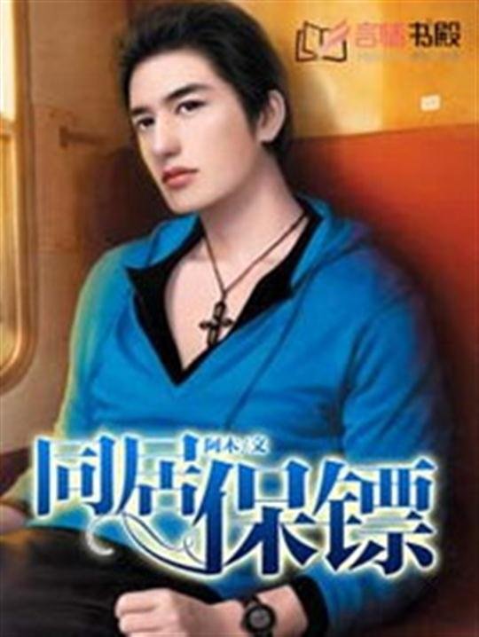《同居保镖》.epub 作者：阿木