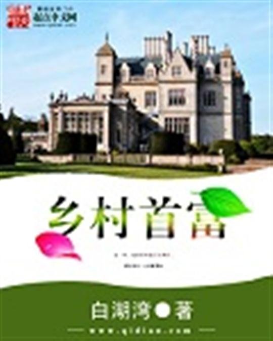 《乡村首富》.epub 作者：白湖湾