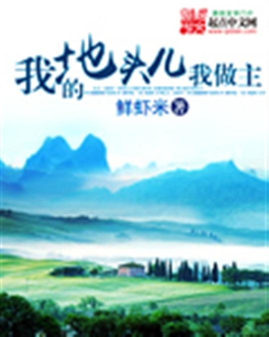 《我的地头儿我做主》.epub 作者：鲜虾米