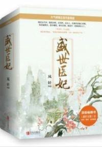 《盛世医妃》.epub 作者：凤轻