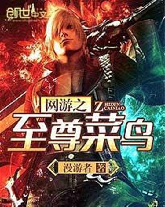 《网游之至尊菜鸟》.epub 作者：漫游者