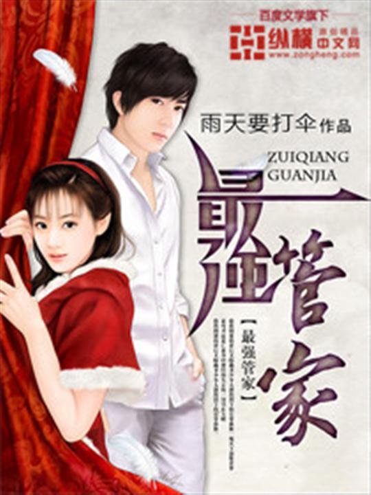 《最强管家》.epub 作者：雨天要打伞