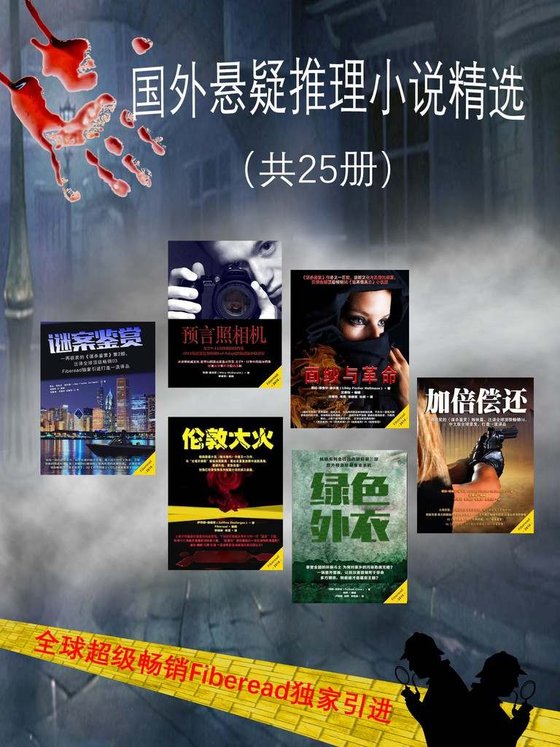 《国外悬疑推理小说精选（全25册）》 作者：Fiberead