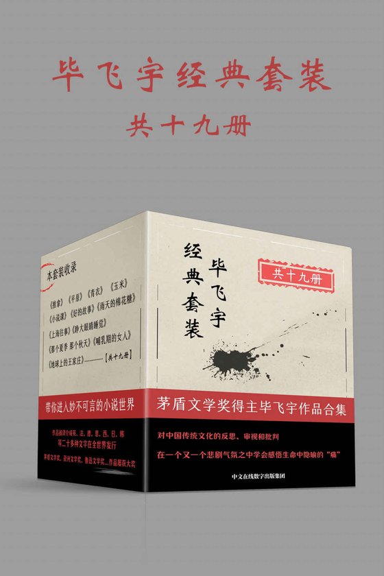 《毕飞宇经典套装：共19册》 作者：毕飞宇