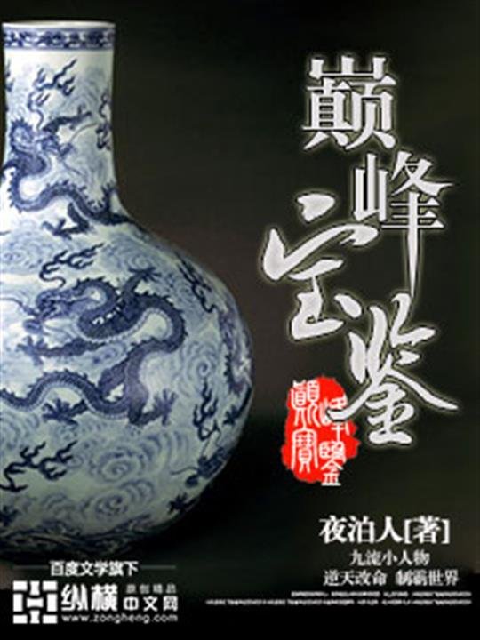 《巅峰宝鉴》.epub 作者：夜泊人
