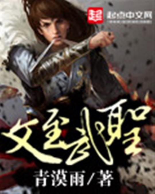 《文至武圣》.epub 作者：青漠雨