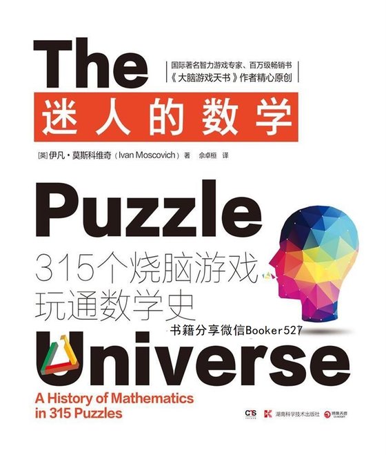 《迷人的数学：315个烧脑游戏玩通数学史》.mobi