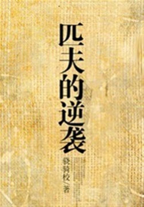 《匹夫的逆袭》.epub 作者：骁骑校