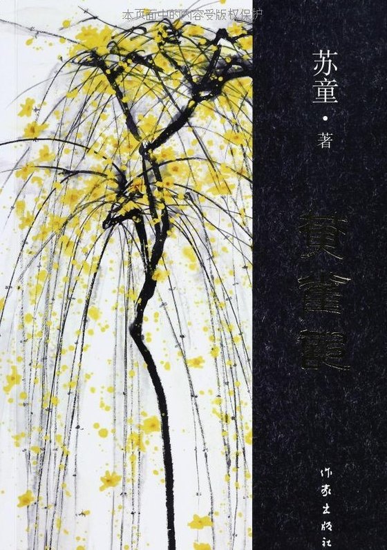 《黄雀记》 作者：苏童