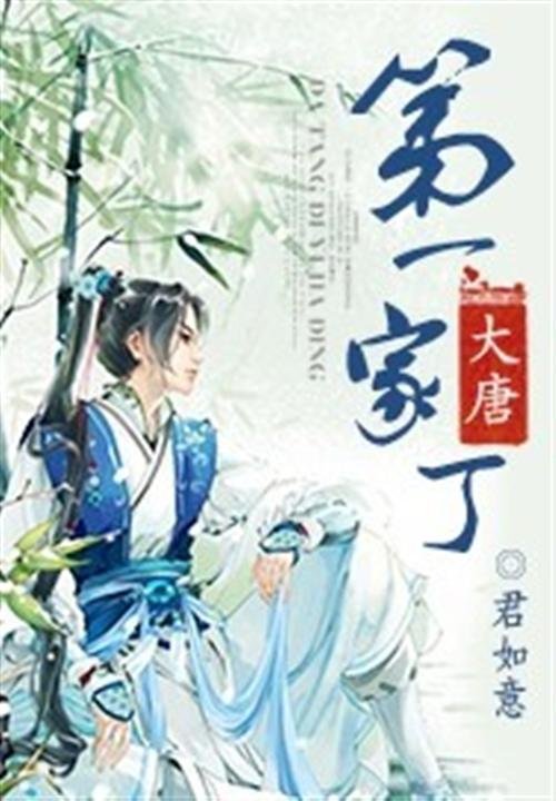 《大唐第一家丁》.epub 作者：君如意