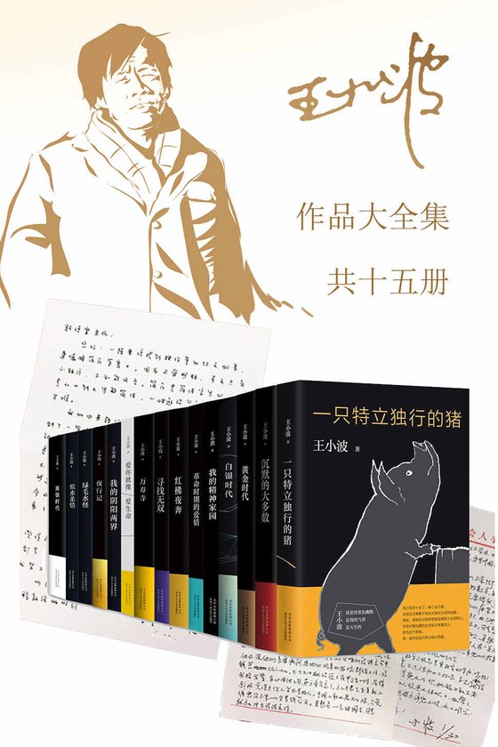 《王小波作品大全集（15册）》 作者：王小波