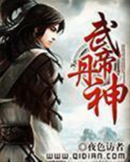 《武帝丹神》.epub 作者：夜色访者