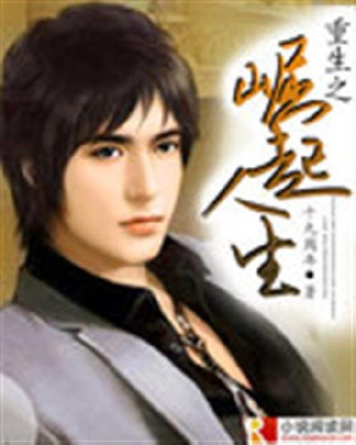 《重生之崛起人生》.epub 作者：十九周年